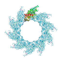 BU of 8pdp by Molmil