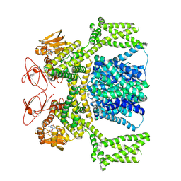 BU of 8pdu by Molmil