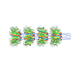 BU of 8pdz by Molmil