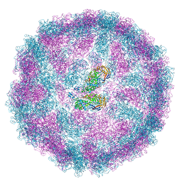 BU of 8pe4 by Molmil