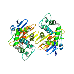 BU of 8pec by Molmil