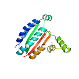 BU of 8pf2 by Molmil