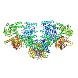 BU of 8pf8 by Molmil