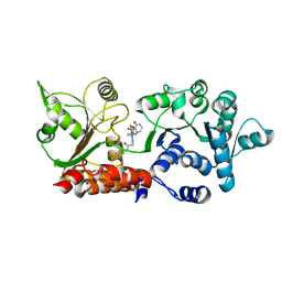 BU of 8pfl by Molmil