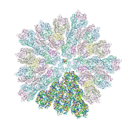 AU of 8pfm by Molmil