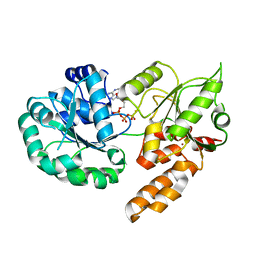 BU of 8pfp by Molmil