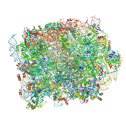 BU of 8pfr by Molmil