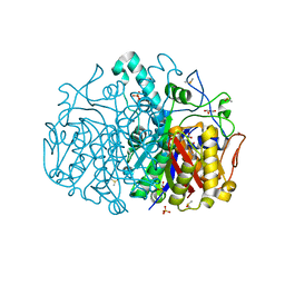 BU of 8pfz by Molmil