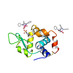 BU of 8ph5 by Molmil