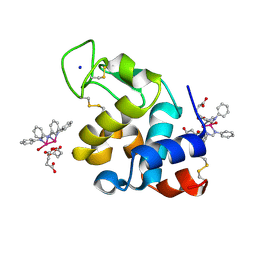 BU of 8ph8 by Molmil