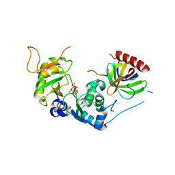 BU of 8phd by Molmil