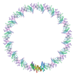 BU of 8pht by Molmil