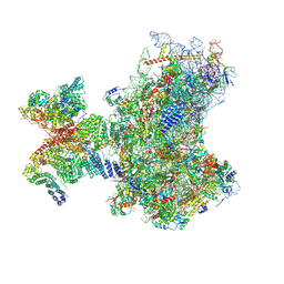 BU of 8pj1 by Molmil