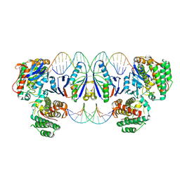 BU of 8pk1 by Molmil