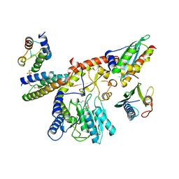 BU of 8pk8 by Molmil