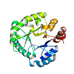 BU of 8pkb by Molmil