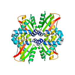 BU of 8pkd by Molmil