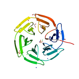 BU of 8pkv by Molmil