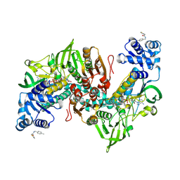 BU of 8pla by Molmil