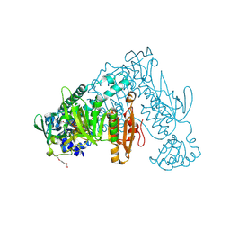 BU of 8plg by Molmil