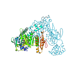 BU of 8pli by Molmil