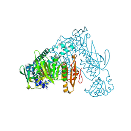 BU of 8plt by Molmil