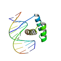 BU of 8pmc by Molmil