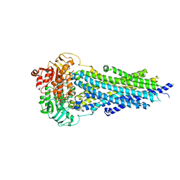 BU of 8pmd by Molmil