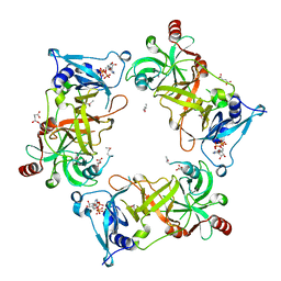 BU of 8pme by Molmil