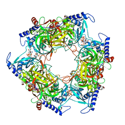 BU of 8pmi by Molmil