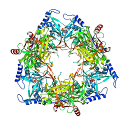 BU of 8pml by Molmil