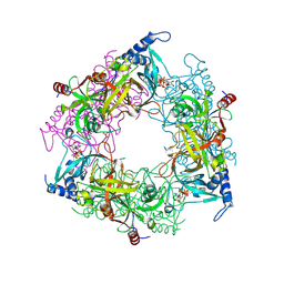 BU of 8pmm by Molmil