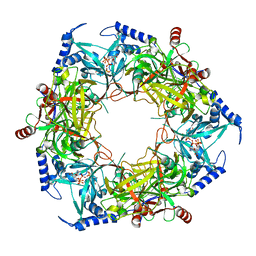 BU of 8pn1 by Molmil