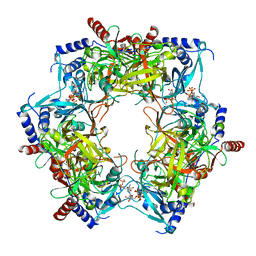 BU of 8pn2 by Molmil