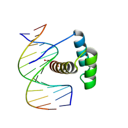 BU of 8pn4 by Molmil