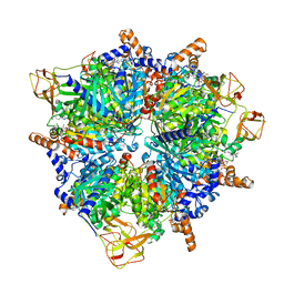 BU of 8pn7 by Molmil