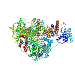 BU of 8pnp by Molmil