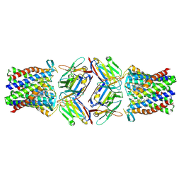 BU of 8pnu by Molmil