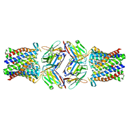 AU of 8pnu by Molmil