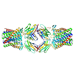 BU of 8pnv by Molmil