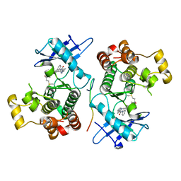 AU of 8po2 by Molmil