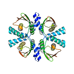 BU of 8poc by Molmil