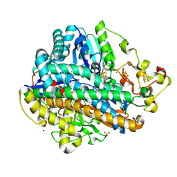 BU of 8pox by Molmil