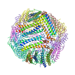 BU of 8pp4 by Molmil