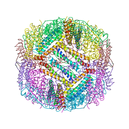 BU of 8pp5 by Molmil