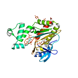 BU of 8pp8 by Molmil