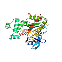 BU of 8pp9 by Molmil