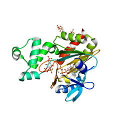 BU of 8ppb by Molmil