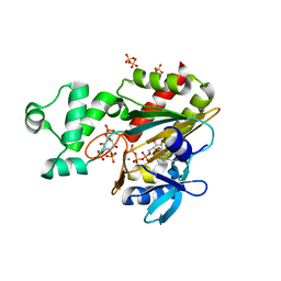 BU of 8ppc by Molmil