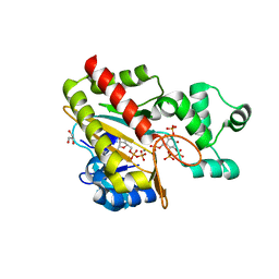 BU of 8ppe by Molmil